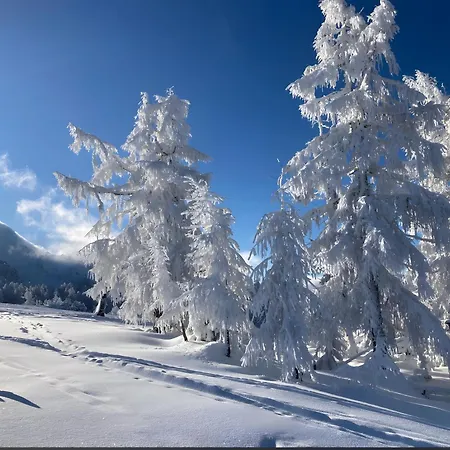 Zentrale An Der Gondel & Naturblick Appartement