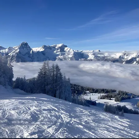 Zentrale An Der Gondel & Naturblick Apartmán *